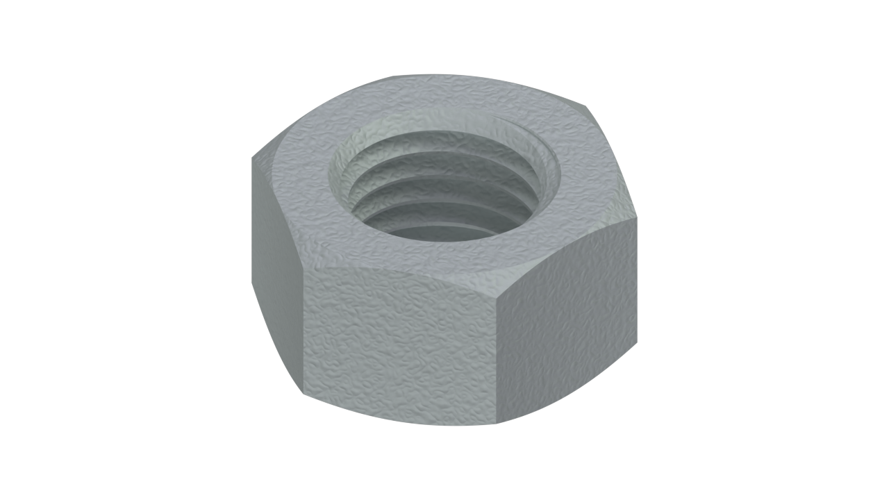 Hex Nut